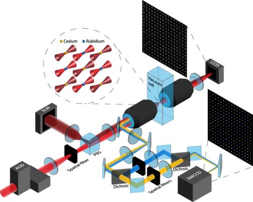量子計算邁入新時代 科學家成功實現512個量子位的中性原子體系